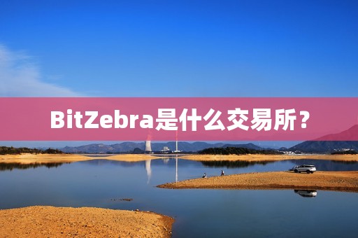 BitZebra是什么交易所？