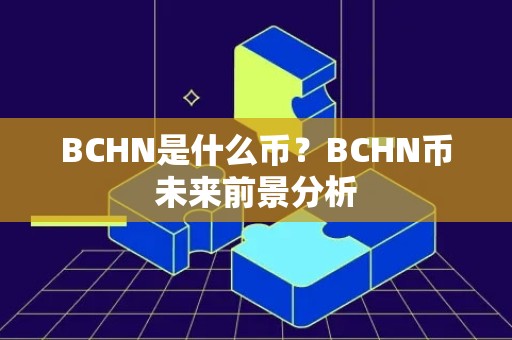 BCHN是什么币？BCHN币未来前景分析