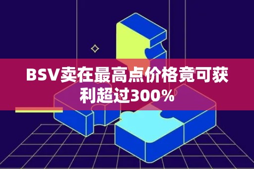 BSV卖在最高点价格竟可获利超过300%
