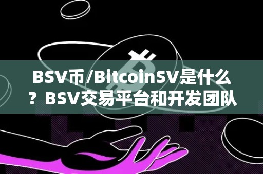 BSV币/BitcoinSV是什么？BSV交易平台和开发团队介绍