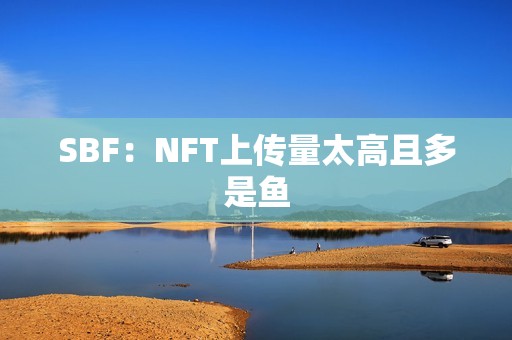 SBF：NFT上传量太高且多是鱼