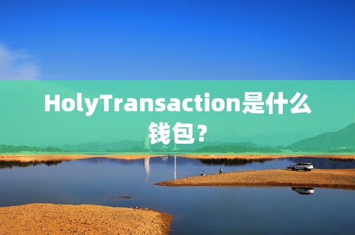 HolyTransaction是什么钱包？